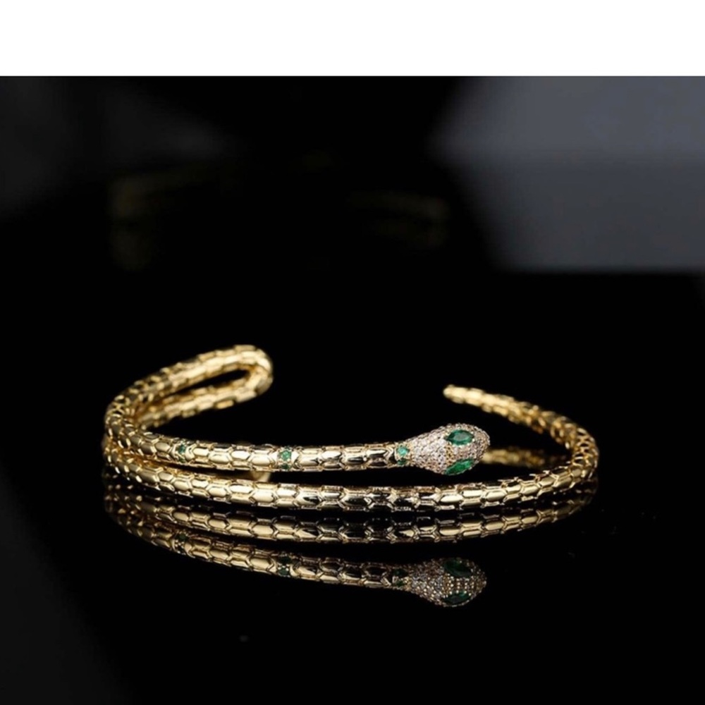 Snake Adjustable Bangle